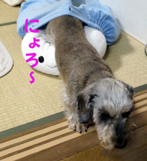 20061130_6.jpg
