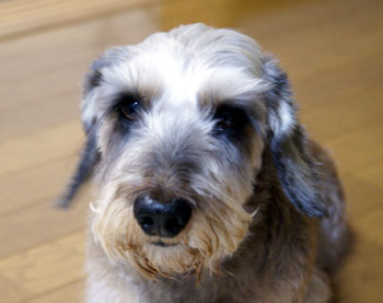20061130_8.jpg