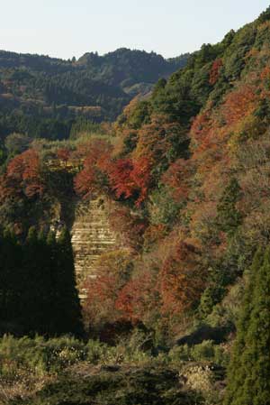 20061206_3.jpg