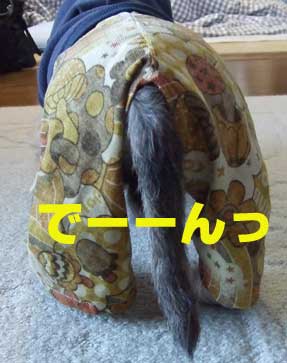 20061211_3.jpg