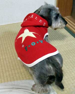 20061214_5.jpg