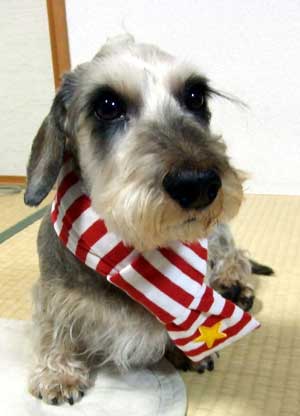 20061214_6.jpg