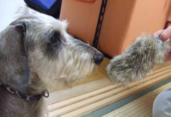 20061214_7.jpg