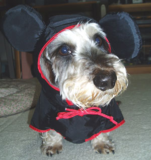 2006gon_mickey_2.jpg