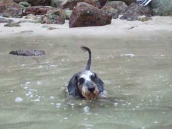 20070831_1.jpg