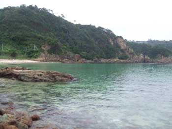 20070831_2.jpg