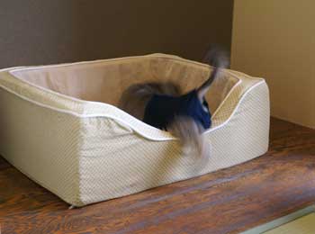 20070831_6.jpg