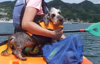 20070902_3.jpg