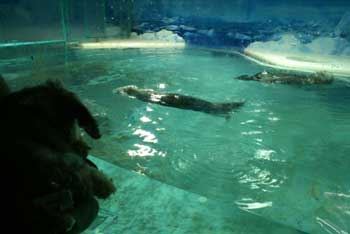 20070903_04.jpg