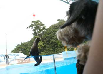 20070903_05.jpg
