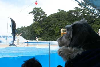 20070903_06.jpg