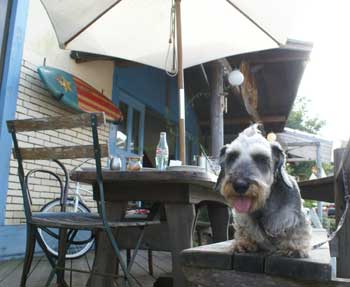 20070903_10.jpg