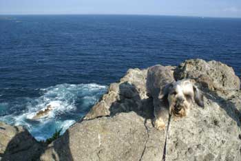 20070903_13.jpg