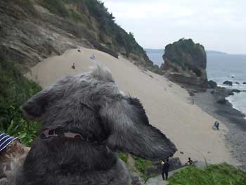 20070903_15.jpg