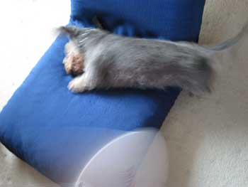20070922_2.jpg