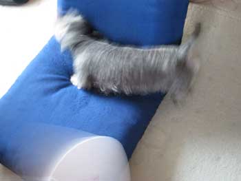 20070922_3.jpg