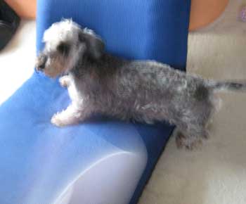 20070922_4.jpg