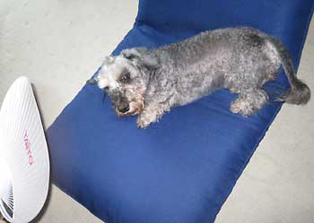 20070922_5.jpg