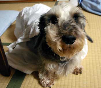 20070927_4.jpg