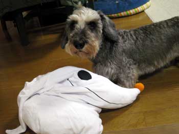 20070928_1.jpg