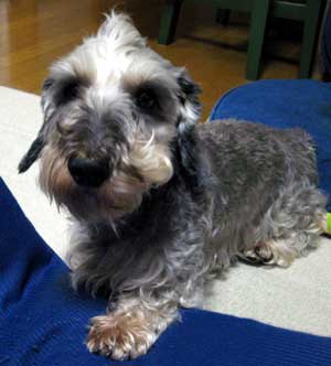 20070929_8.jpg