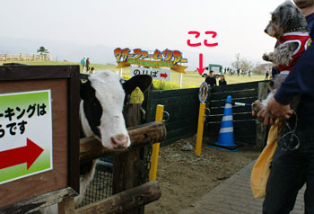 20080403_15.jpg