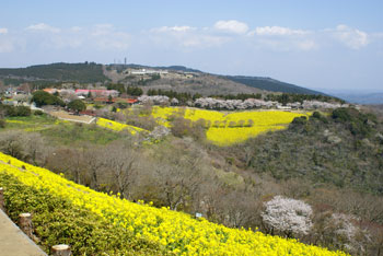 20080403_5.jpg
