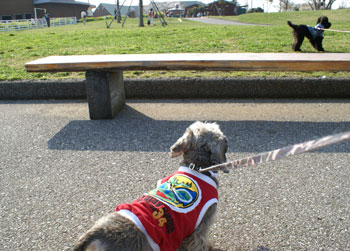 20080403_9.jpg