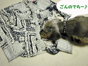 20080410_2.jpg