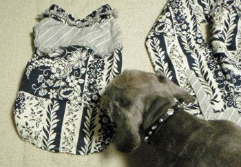20080410_3.jpg