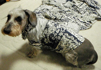 20080410_5.jpg