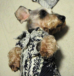 20080410_6.jpg