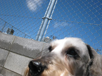 20080411_1.jpg