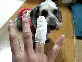20080415.jpg