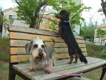 20080421_2.jpg