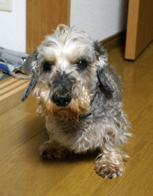 20080823_1.jpg
