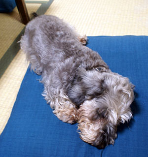 20080823_3.jpg