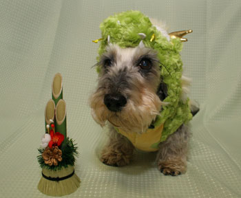 20120101_1.jpg